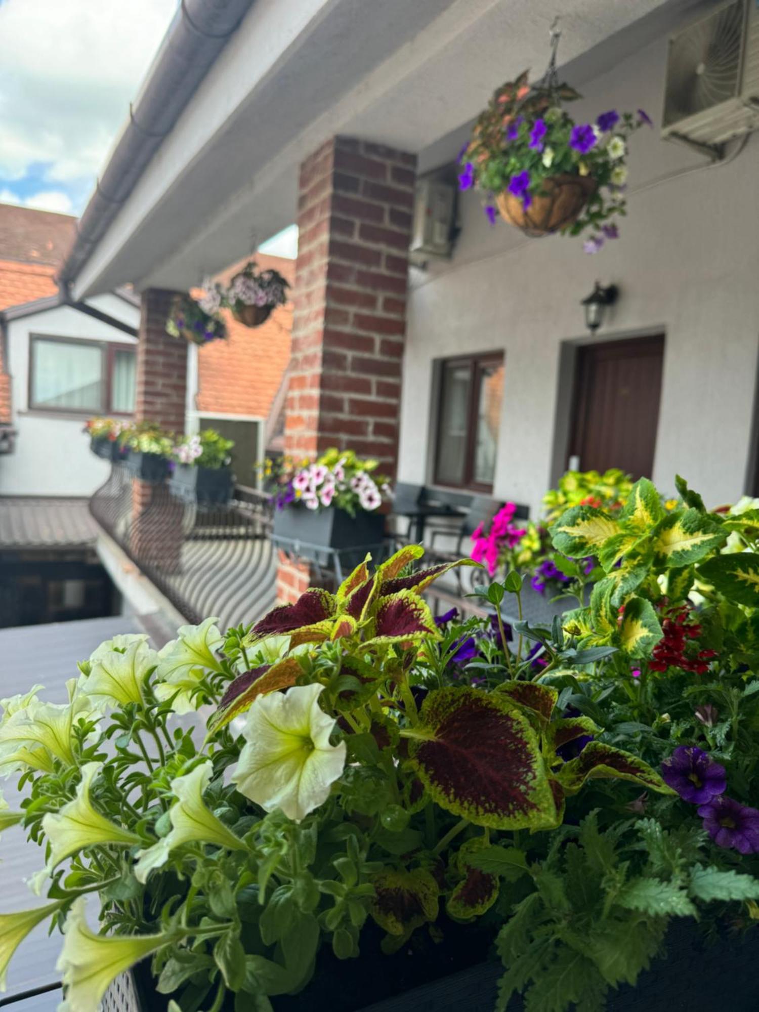 Casa Mignon Oradea Exterior foto